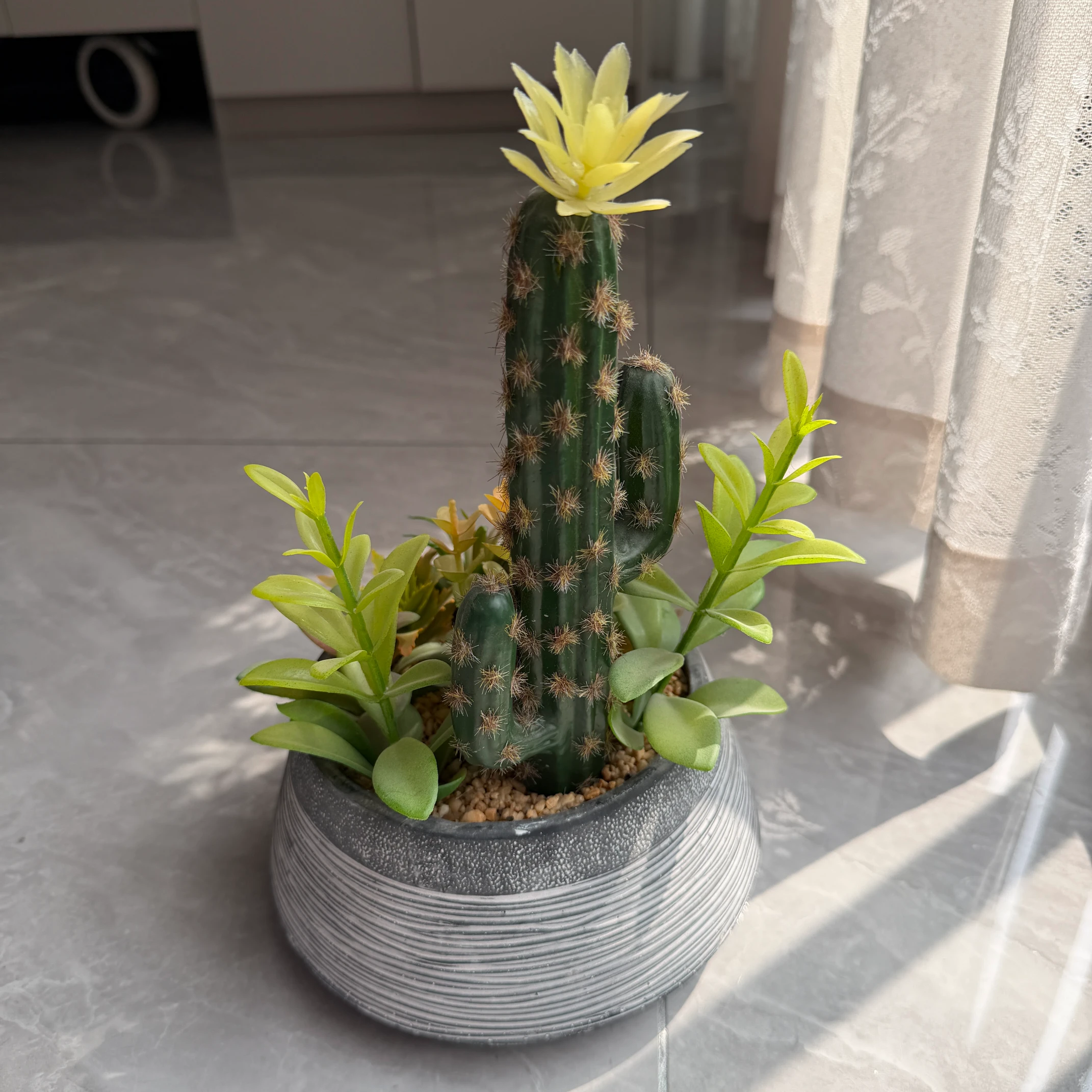 DR0108 (8) - Decoración Suculenta Premium