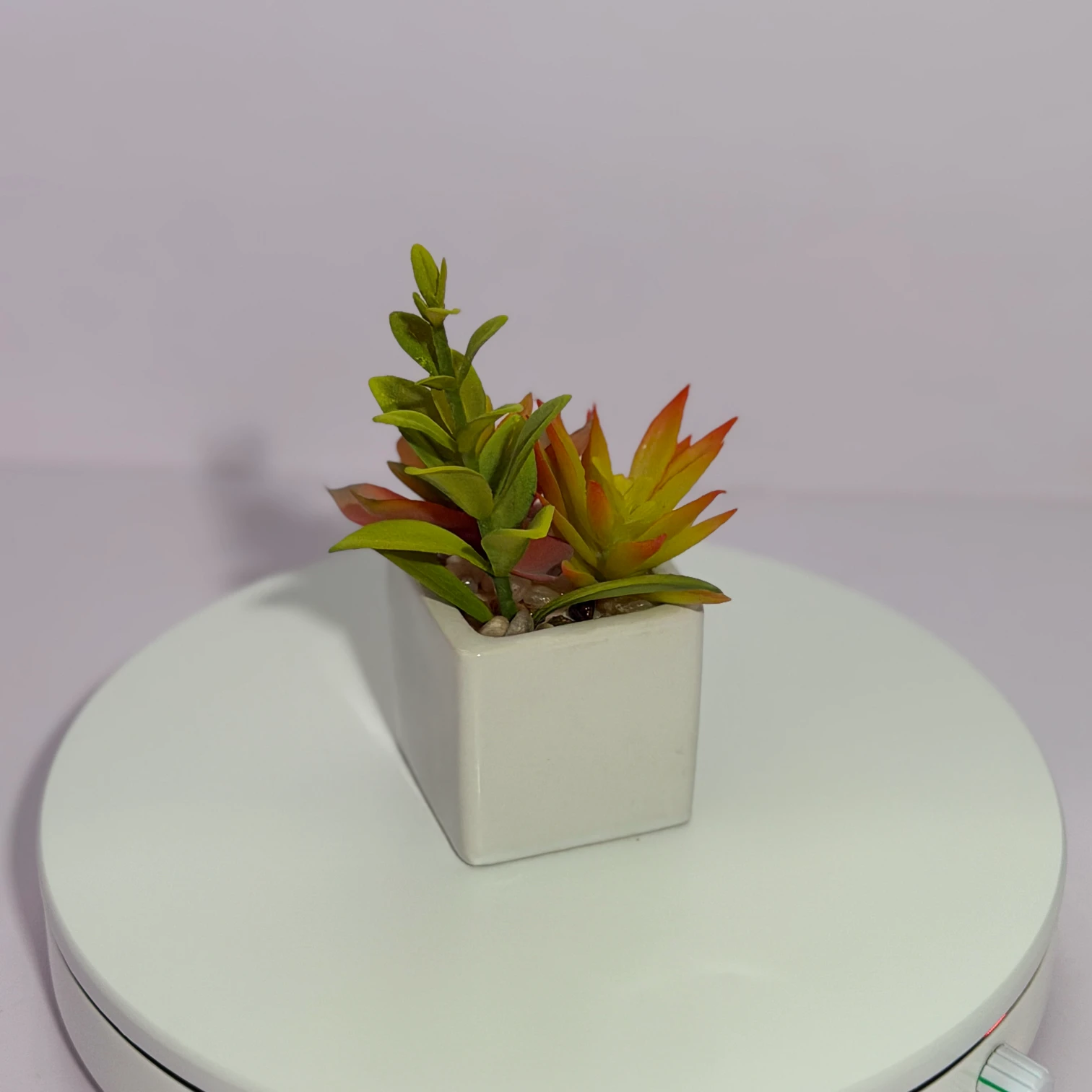 DR0123 (3) - Suculenta Artificial en Maceta Cuadrada