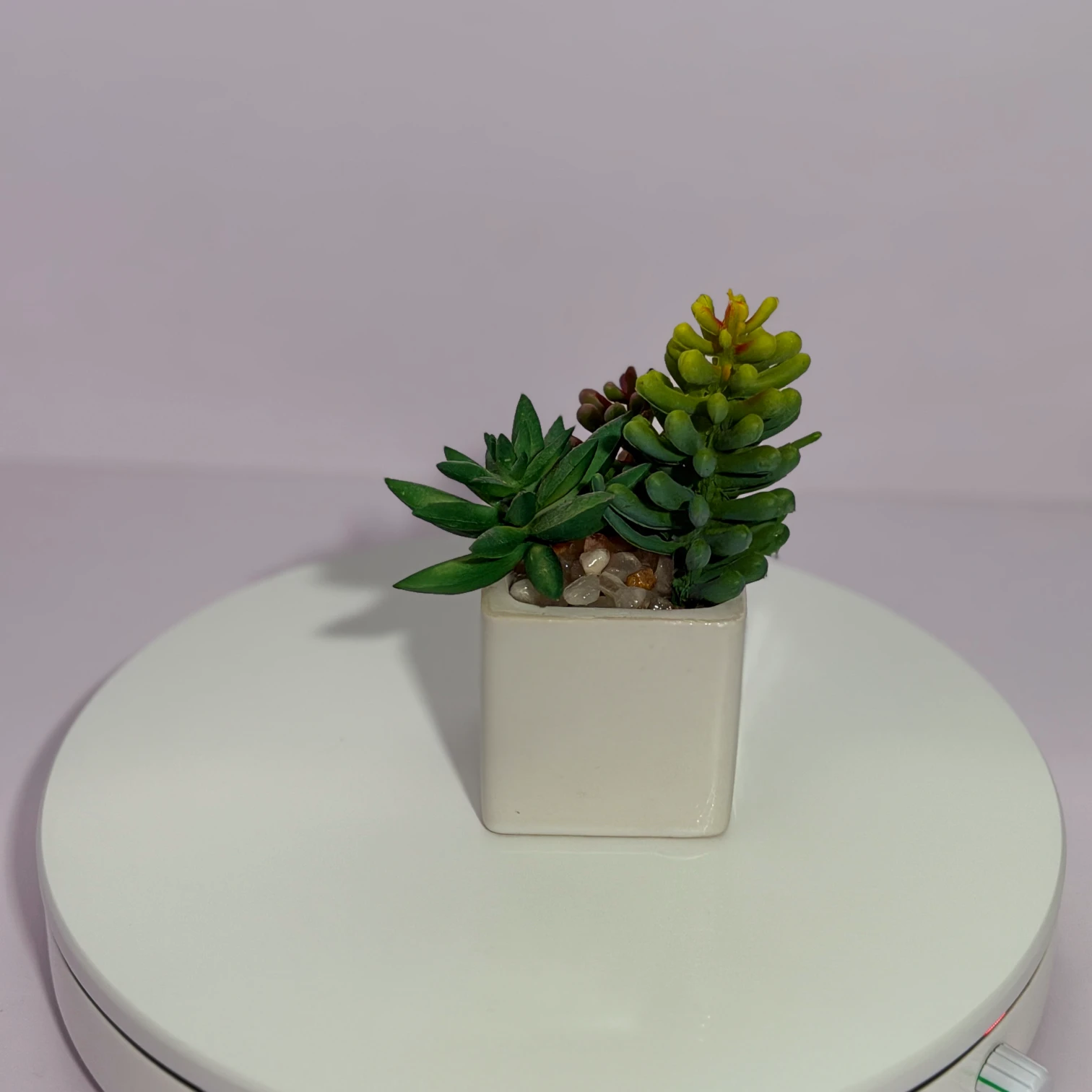 DR0124 (1) - Planta Suculenta Falsa en Maceta Blanca