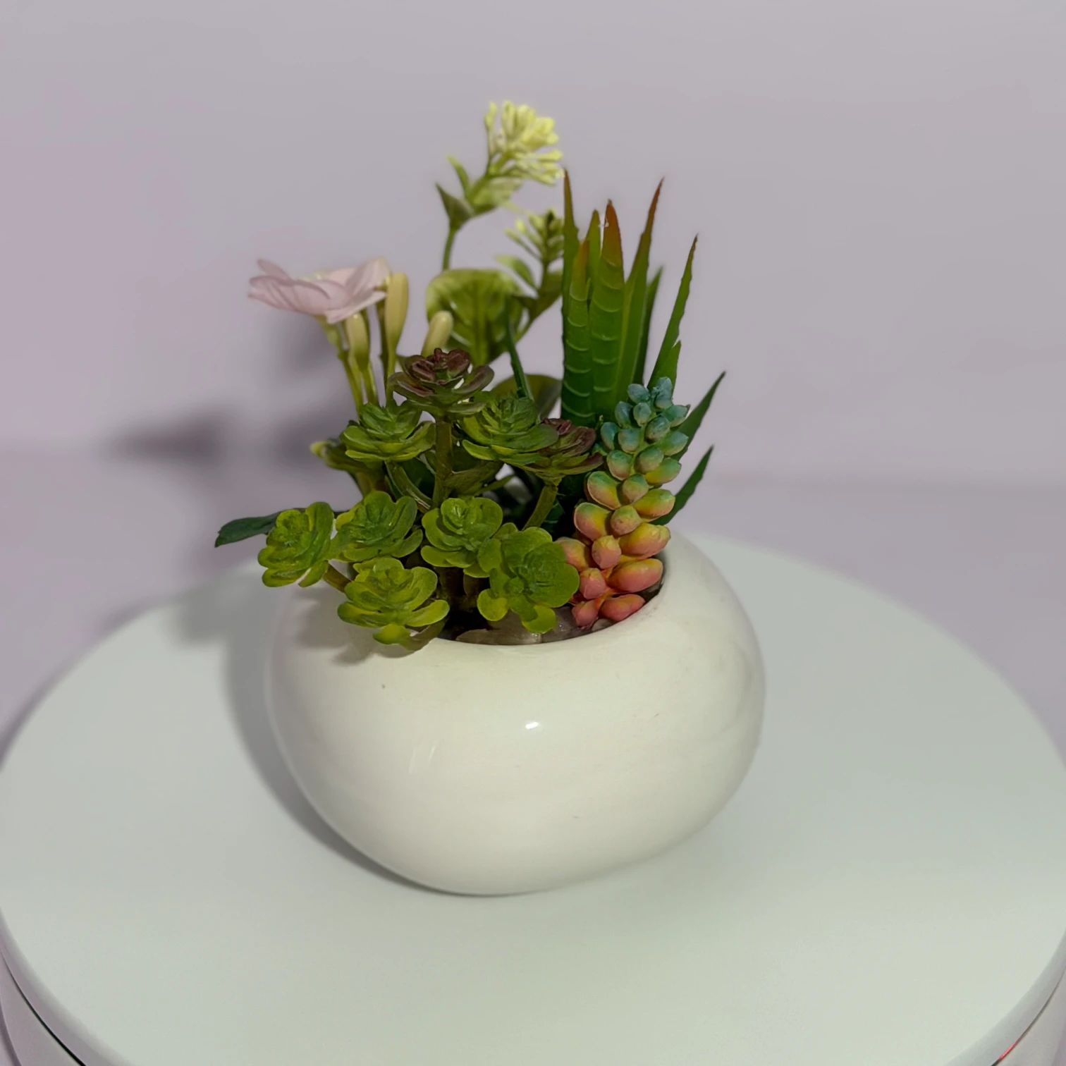 DR0127 (2) - Planta Falsa de Suculenta en Maceta Blanca