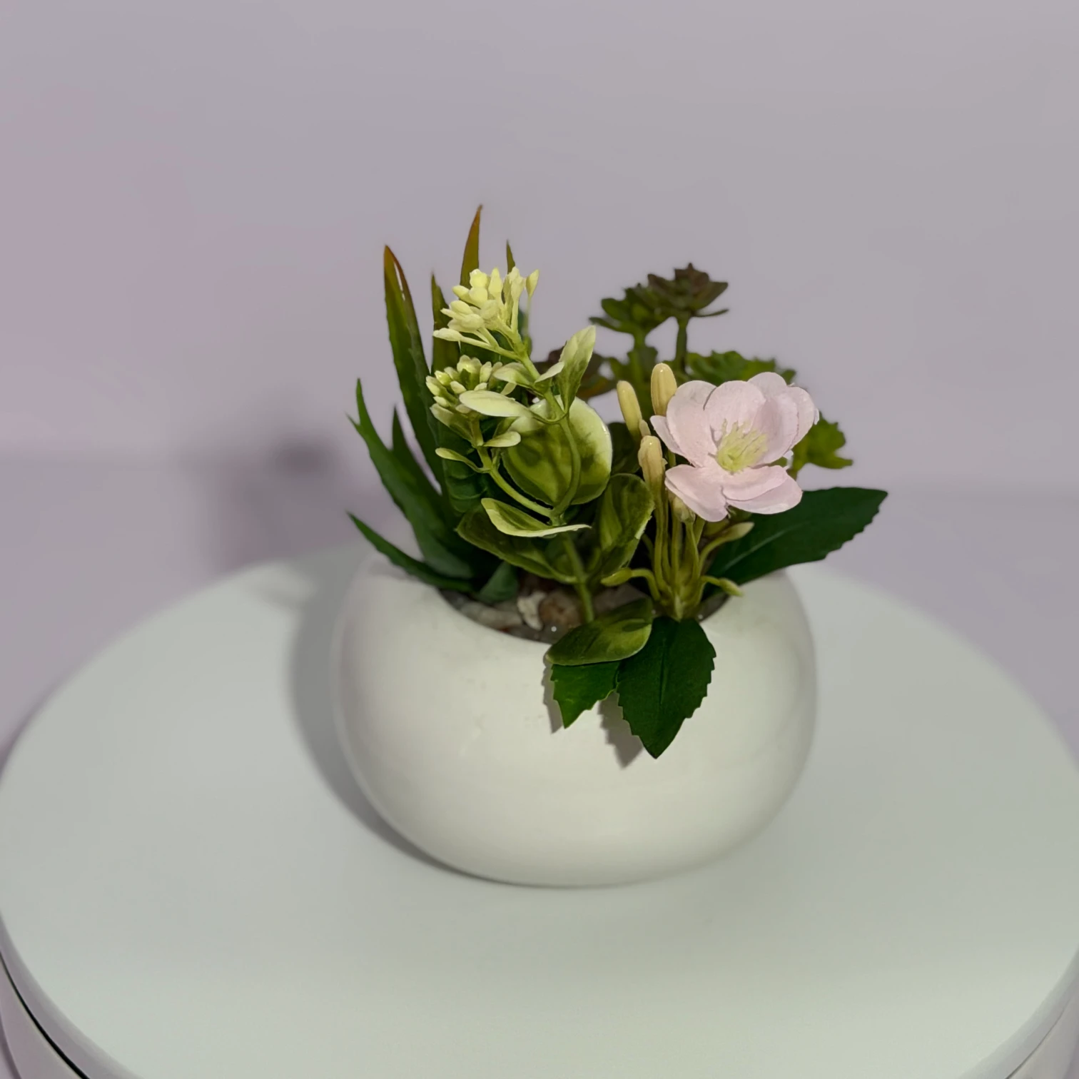 DR0127 (3) - Planta Falsa de Suculenta en Maceta Blanca