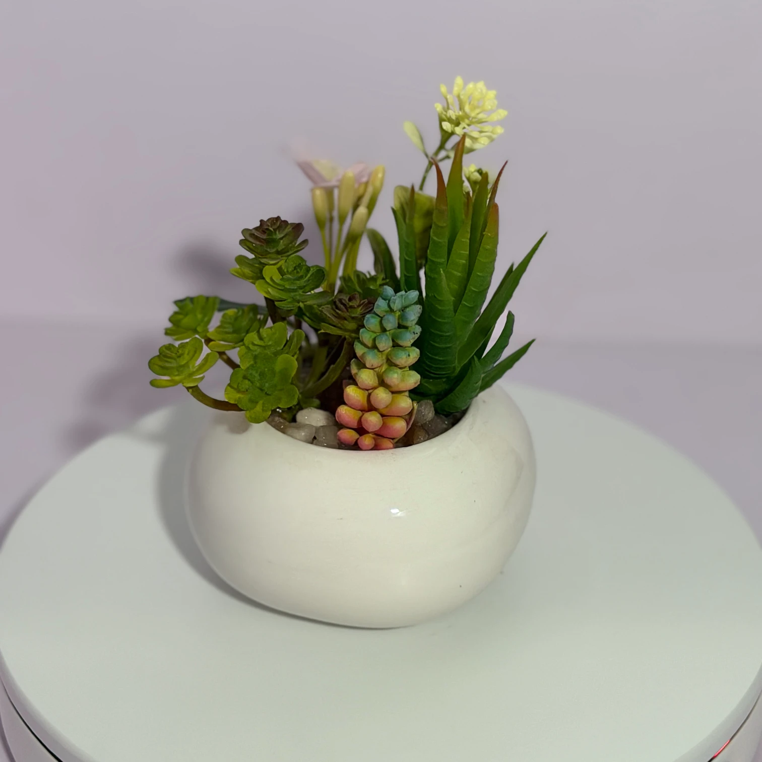 DR0127 (4) - Planta Falsa de Suculenta en Maceta Blanca