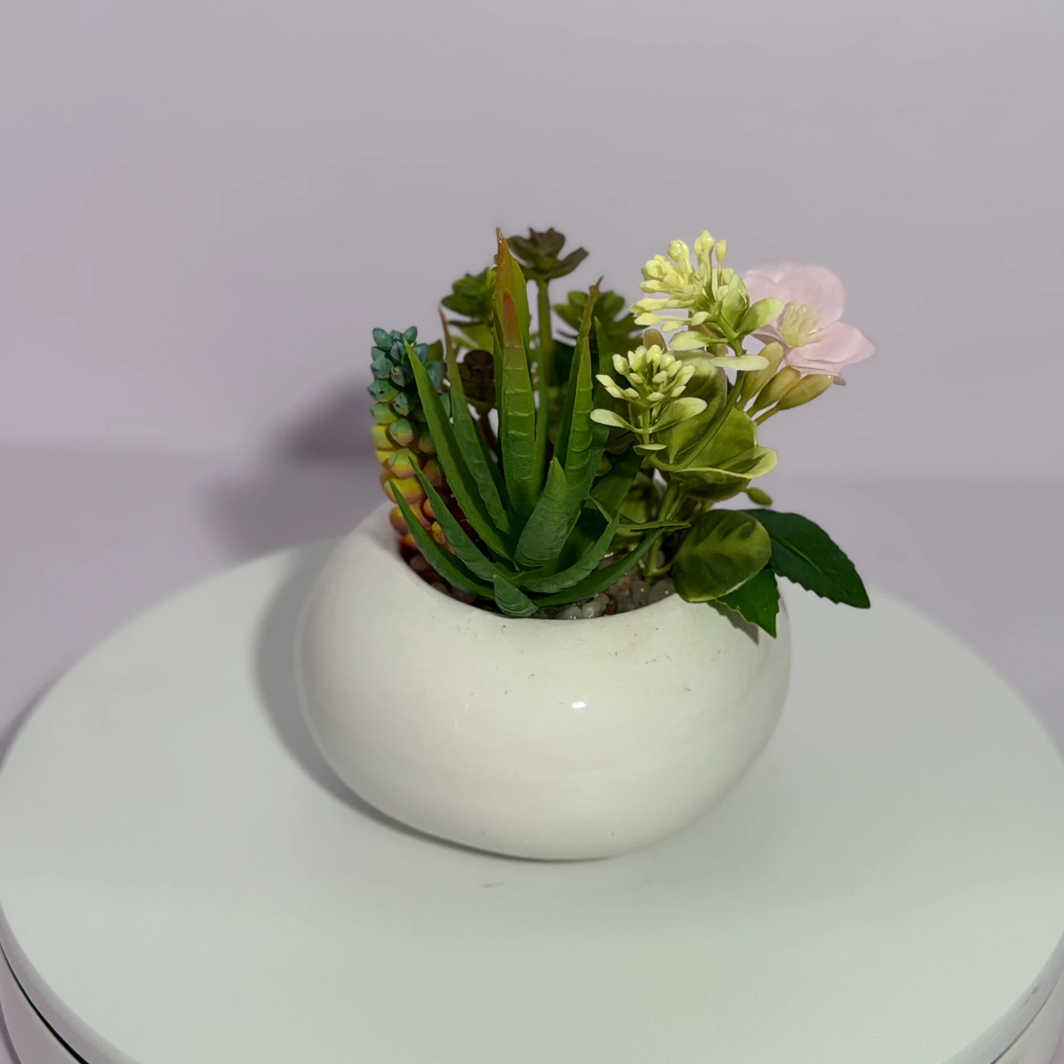 DR0127 (5) - Planta Falsa de Suculenta en Maceta Blanca