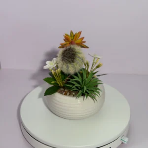 DR0131 (6) profile - Cactus y Suculentas Artificiales