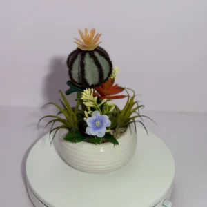 DR0133 (1) profile - Cactus Peludo con Flor Azul