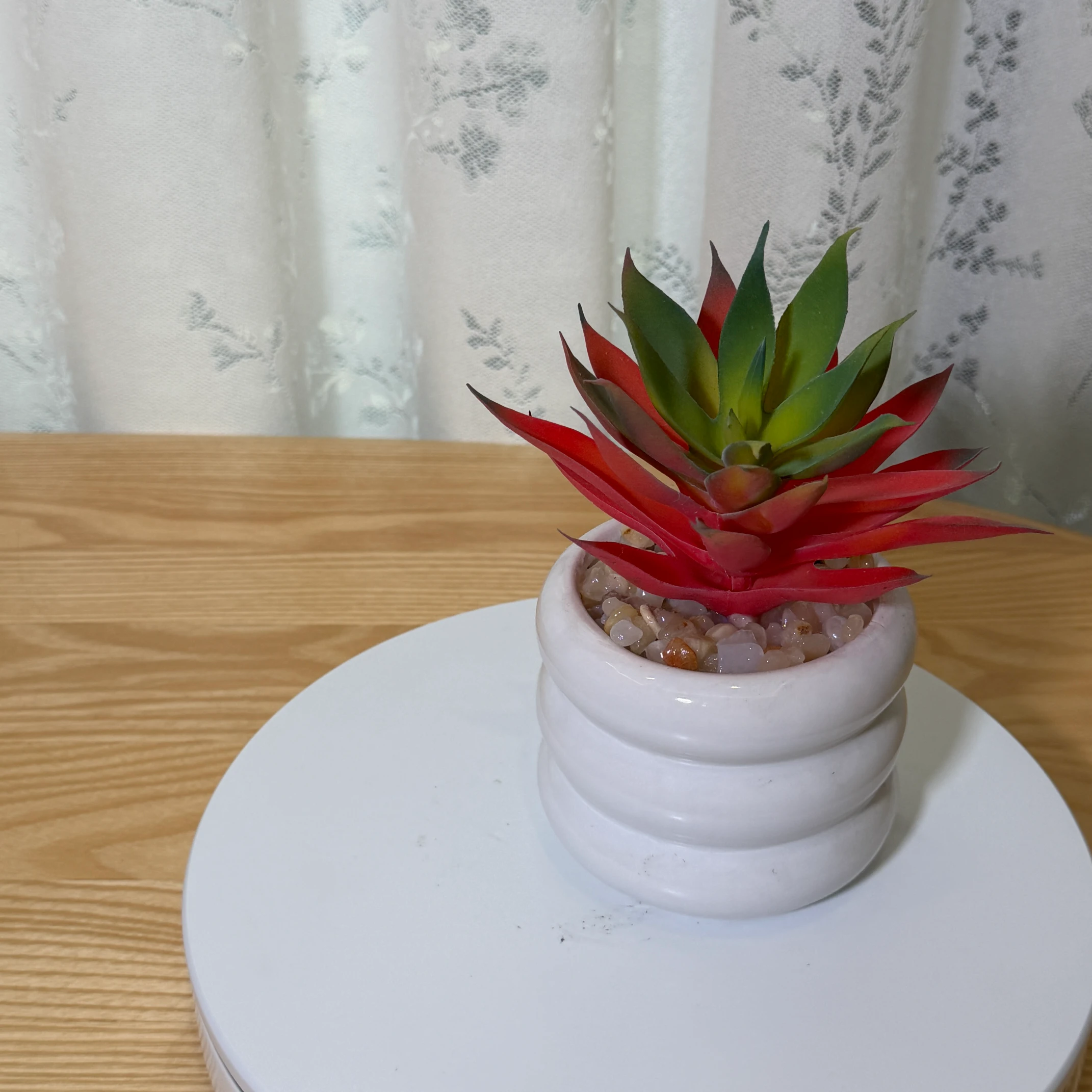 DR0139 (1) - Suculenta Agave Artificial Rojo-Amarillo