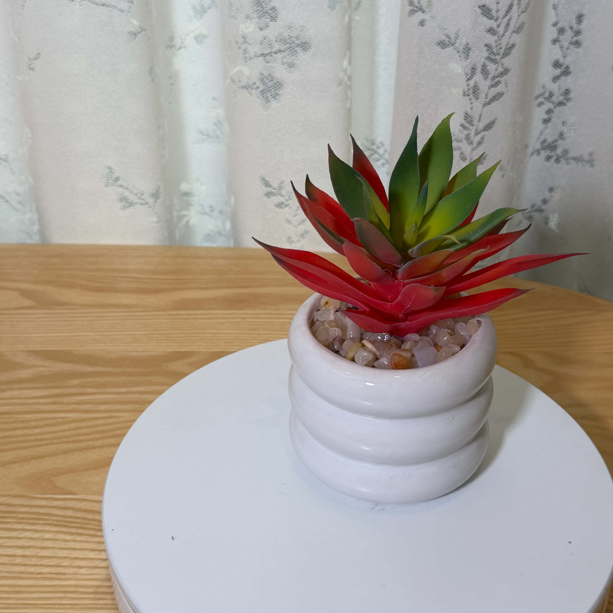 DR0139 (2) - Suculenta Agave Artificial Rojo-Amarillo