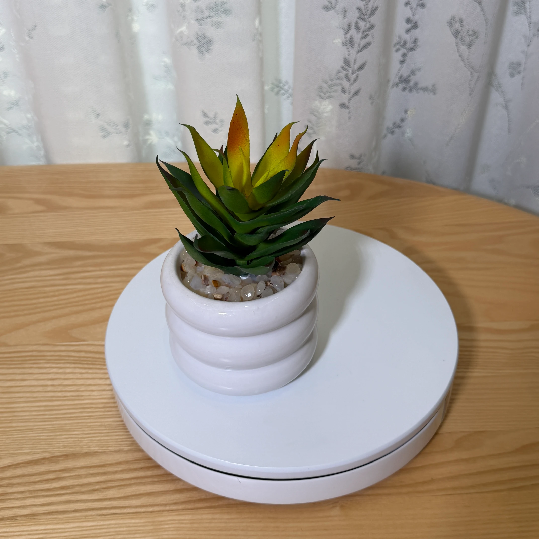 DR0140 (3) - Suculenta Agave Artificial Verde-Amarillo