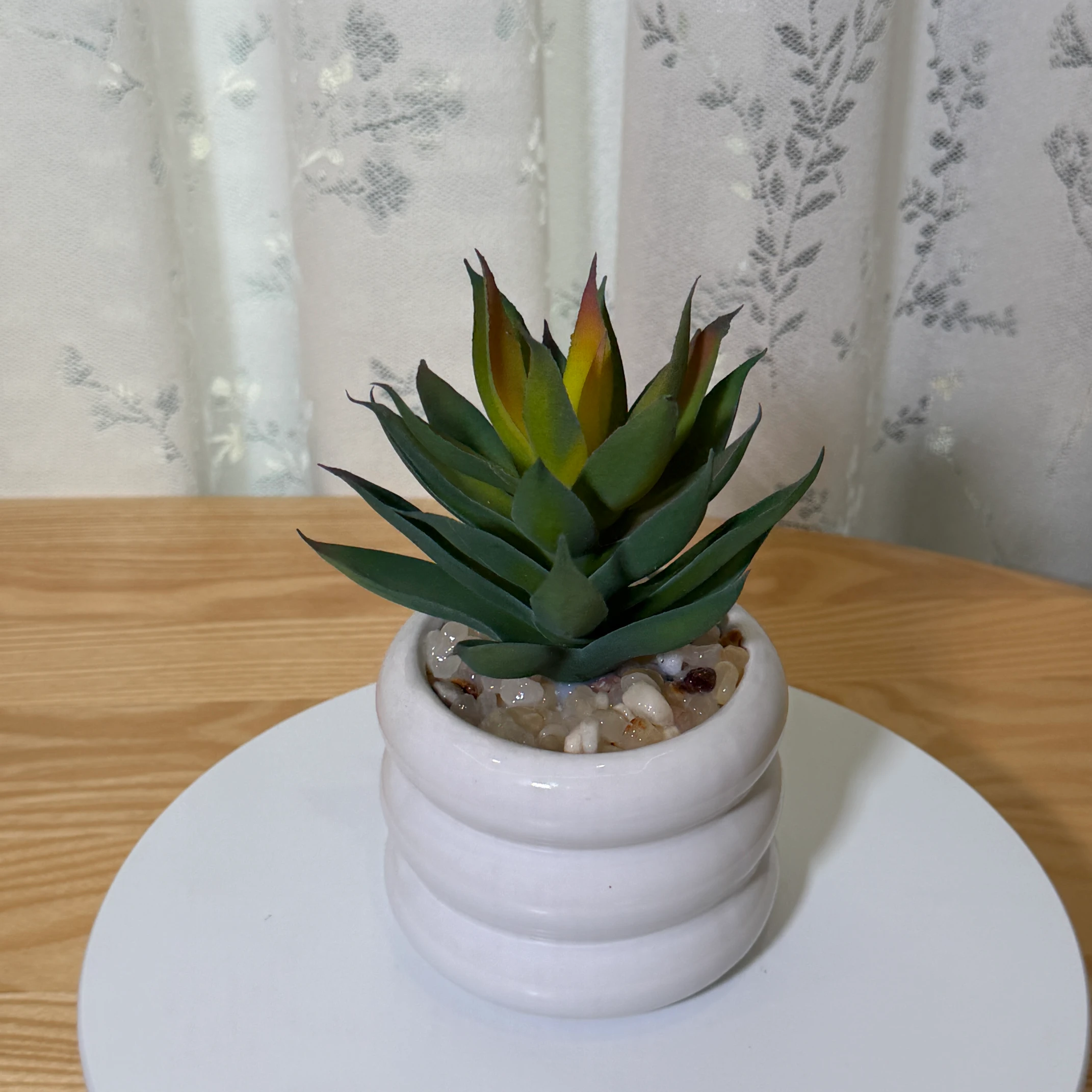 DR0140 (4) - Suculenta Agave Artificial Verde-Amarillo