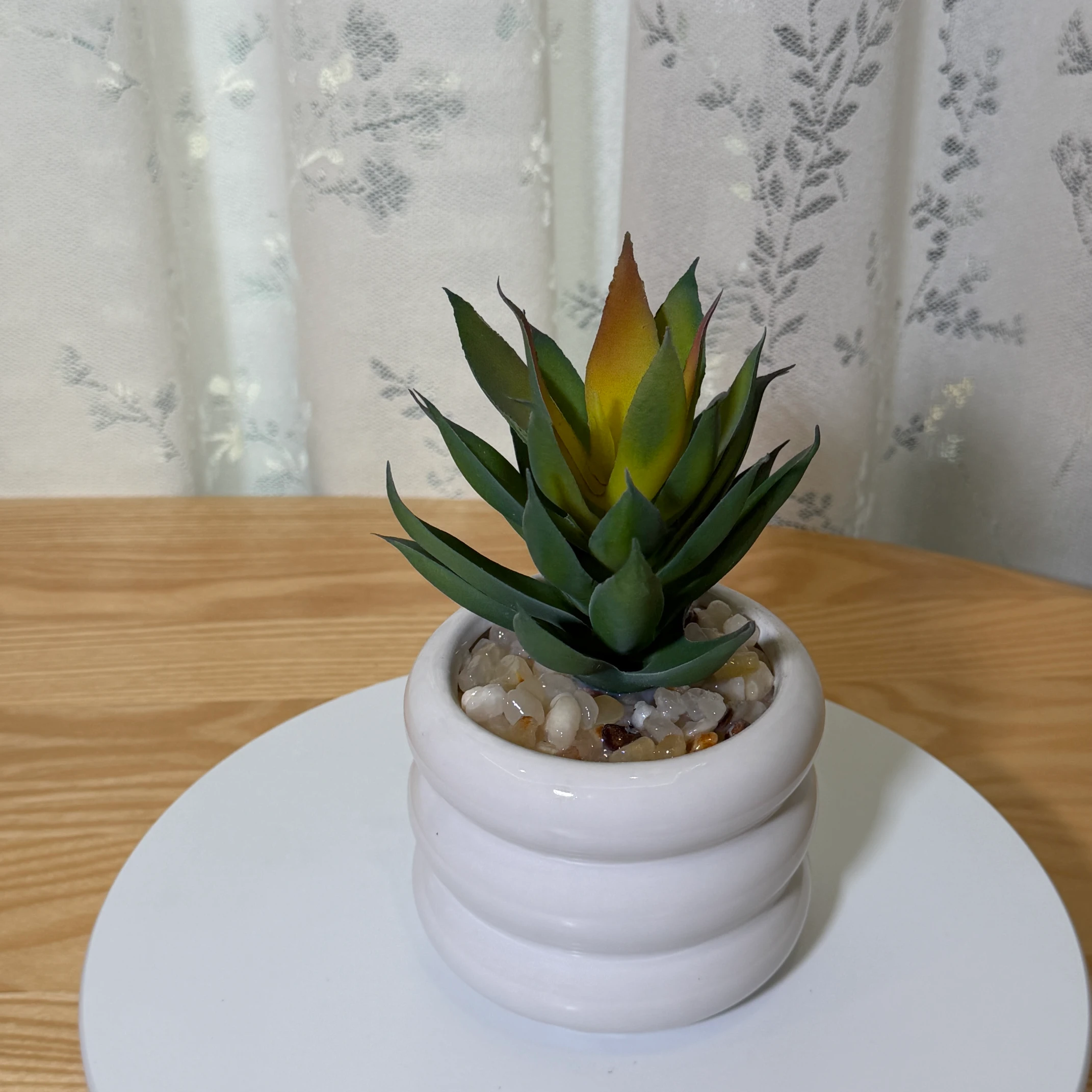 DR0140 (5) - Suculenta Agave Artificial Verde-Amarillo