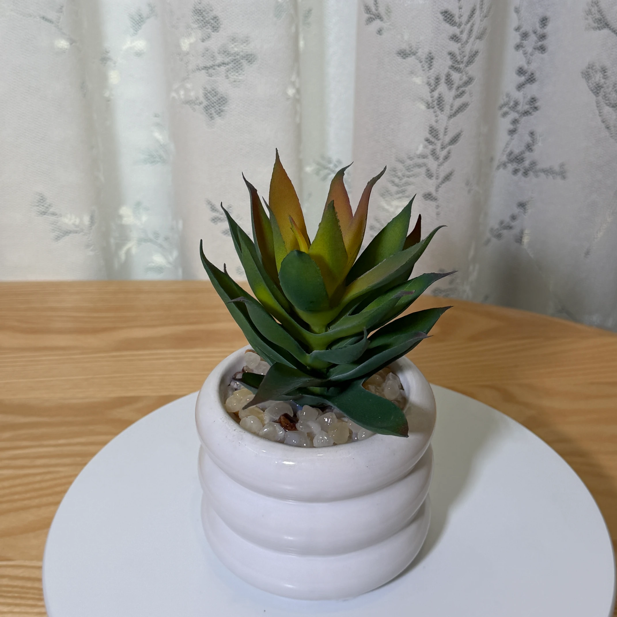 DR0140 (6) - Suculenta Agave Artificial Verde-Amarillo