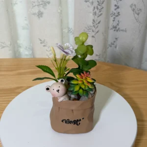 DR0141 (1) profile - Suculentas Artificiales con Figura de Oso