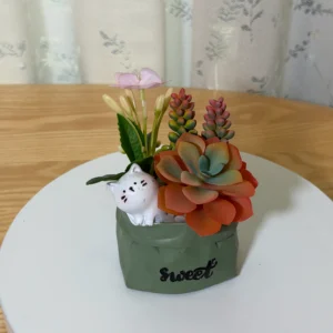 DR0143 (3) profile - Suculentas Artificiales con Gato Blanco