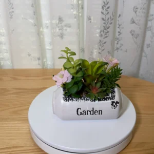 DR0145 (1) profile - Composición de Suculentas Artificiales