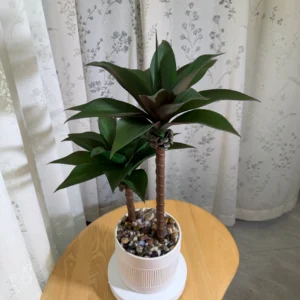 DR0151 (1) profile - Planta Artificial de Árbol de Hoja Ancha