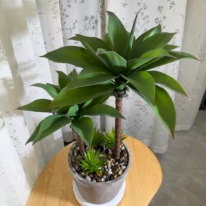 DR0152 (1) profile - Planta Artificial de Árbol y Suculentas