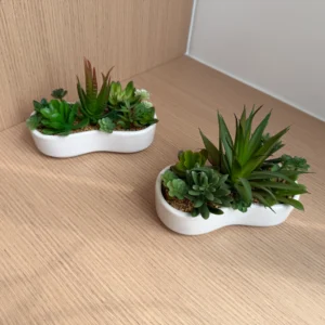 DR0155 (3) profile - Conjunto de Arreglos de Suculentas Artificiales