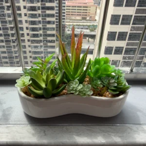 DR0157 (1) profile - Arreglo de Suculentas Artificiales con Aloe