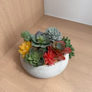 DR0161 (1) profile - Arreglo de Suculentas Artificiales Multicolores
