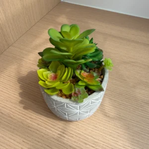 DR0162 (3) profile - Suculentas Artificiales en Maceta Geométrica