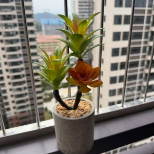 DR0164 (1) profile - Planta Suculenta Artificial de Dos Tallos