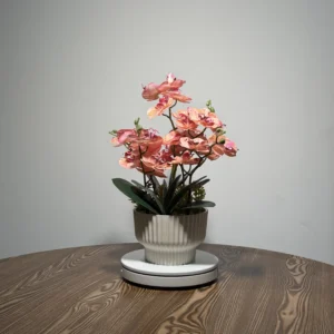 HD0030 (1) profile - Bonsái de Orquídea Artificial de Melocotón