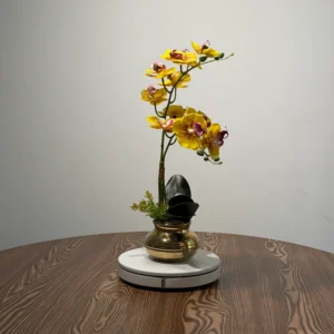 HD0035 (1) profile - Bonsái de Orquídea Amarilla con Detalles Rosados